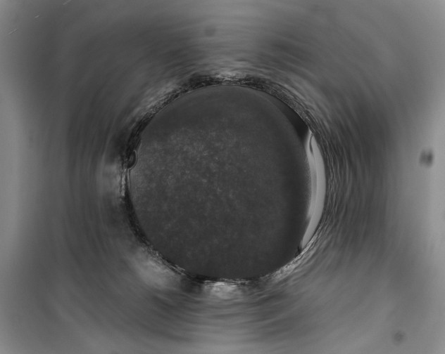 X0000099990180200806131443