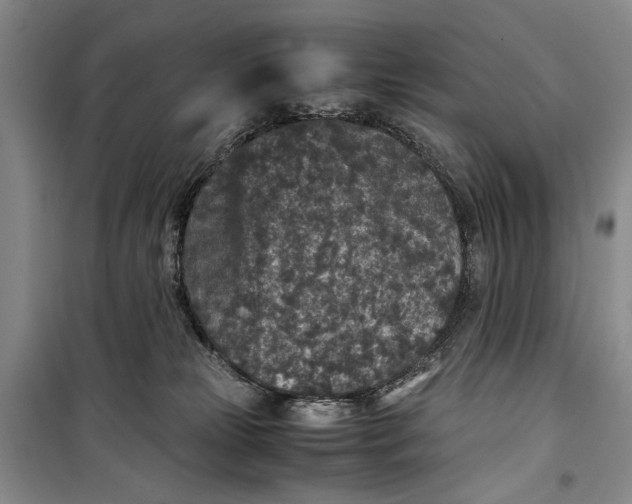 X0000099990181200806131443