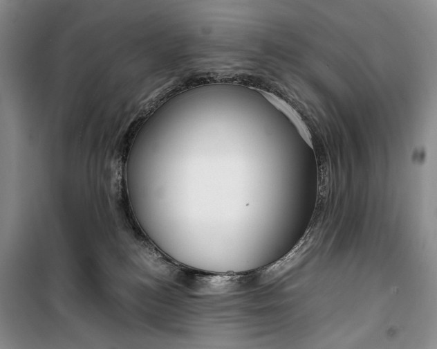 X0000099990184200806131443