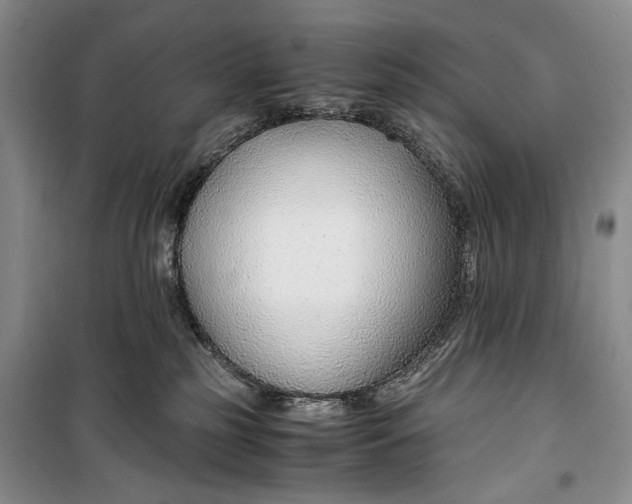 X0000099990185200806131443