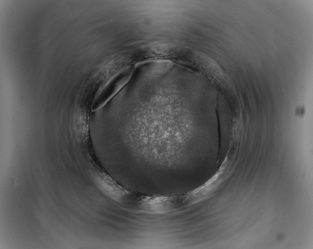 X0000099990186200806131443