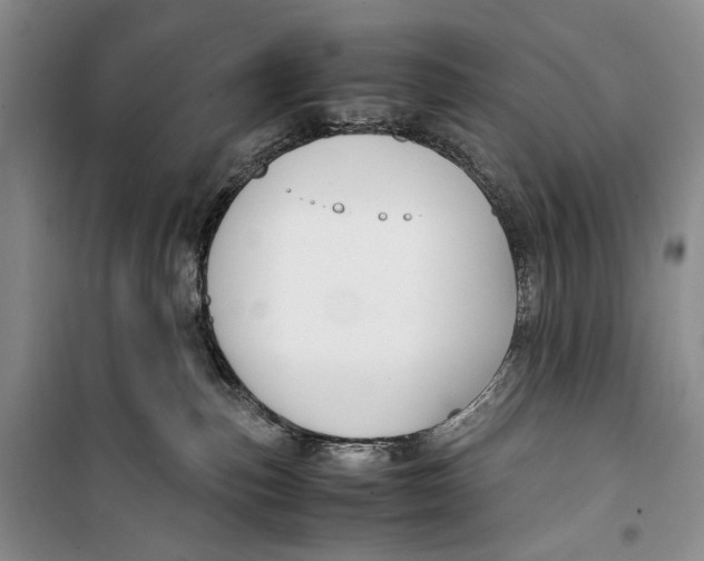 X0000099990187200806131443