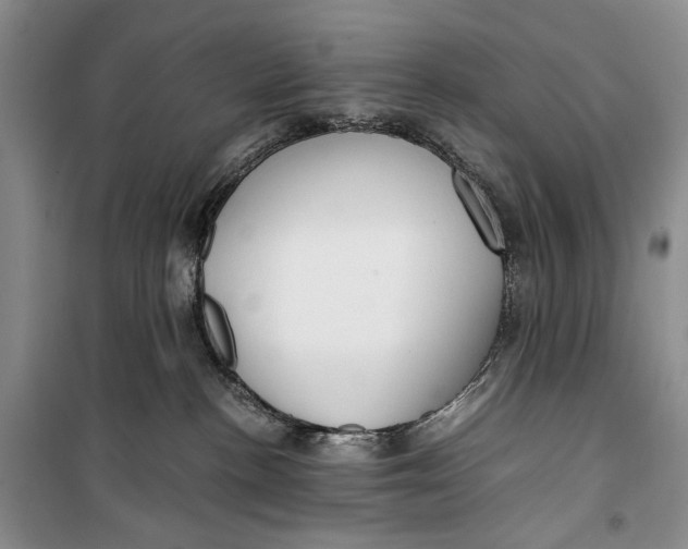 X0000099990188200806131443