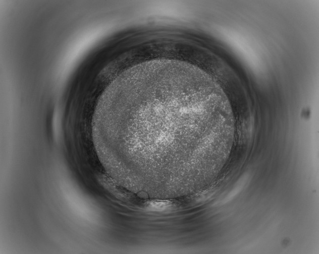 X0000099990189200806131443