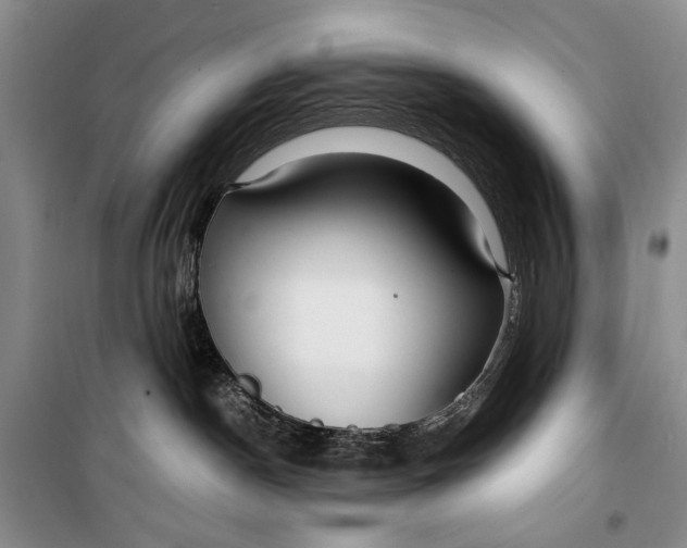 X0000099990190200806131443