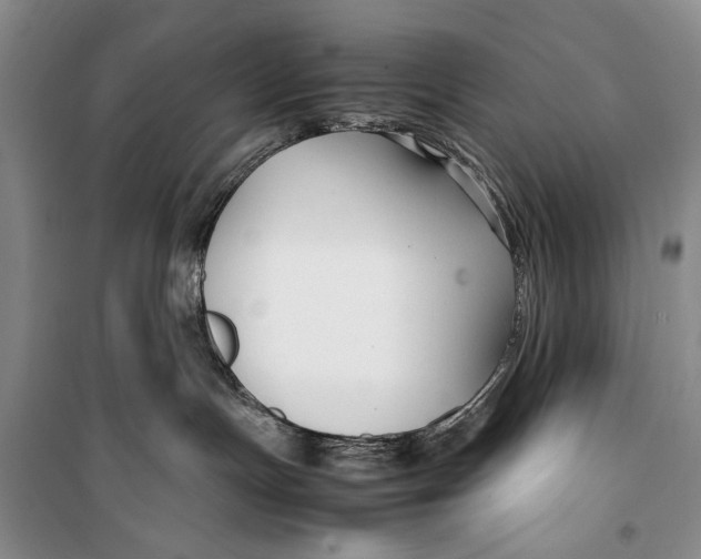 X0000099990191200806131443