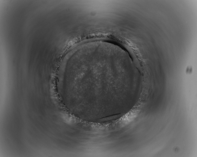 X0000099990192200806131443