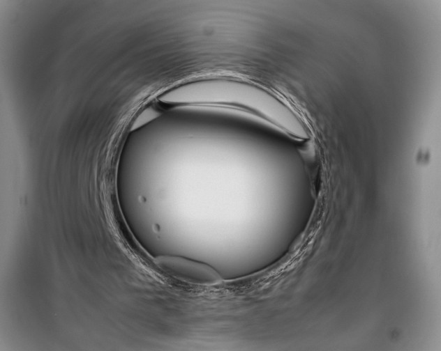 X0000099990193200806131442