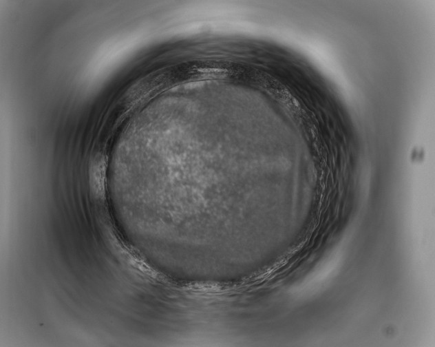 X0000099990194200806131442