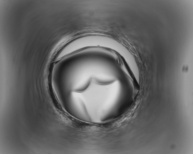 X0000099990197200806131442