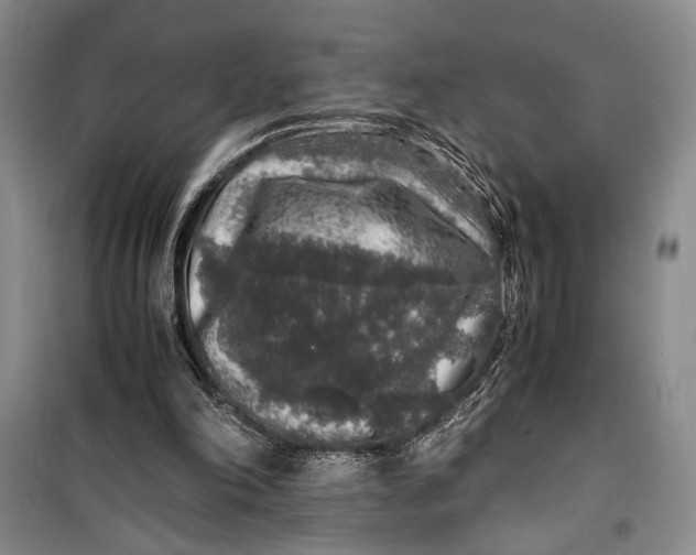 X0000099990198200806131442