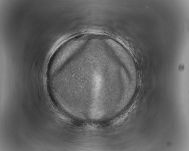 X0000099990199200806131442