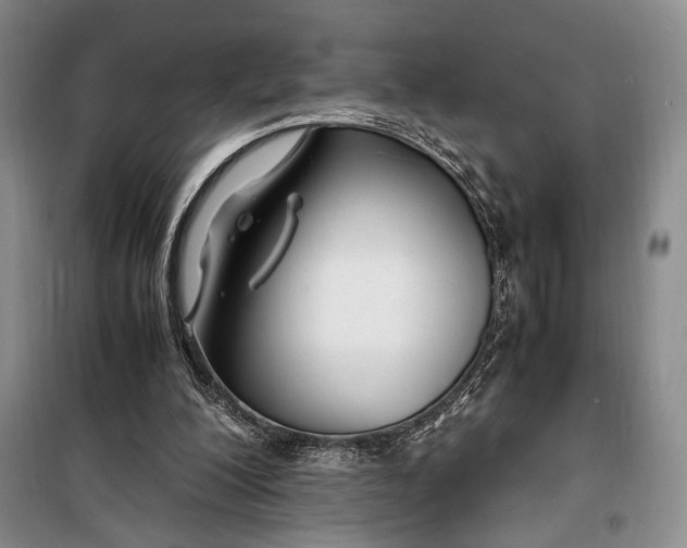 X0000099990200200806131442