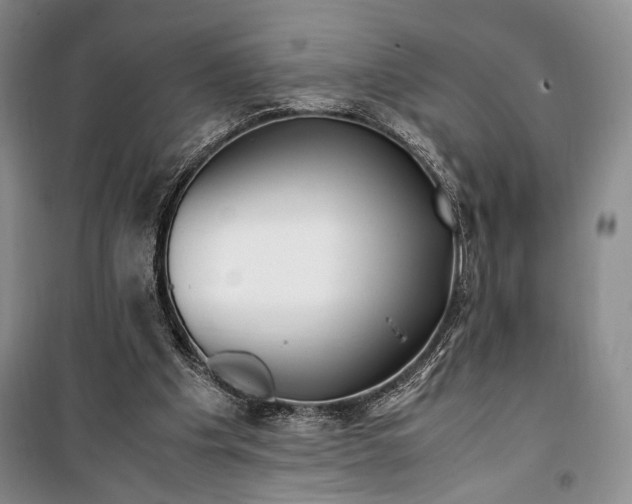 X0000099990201200806131442