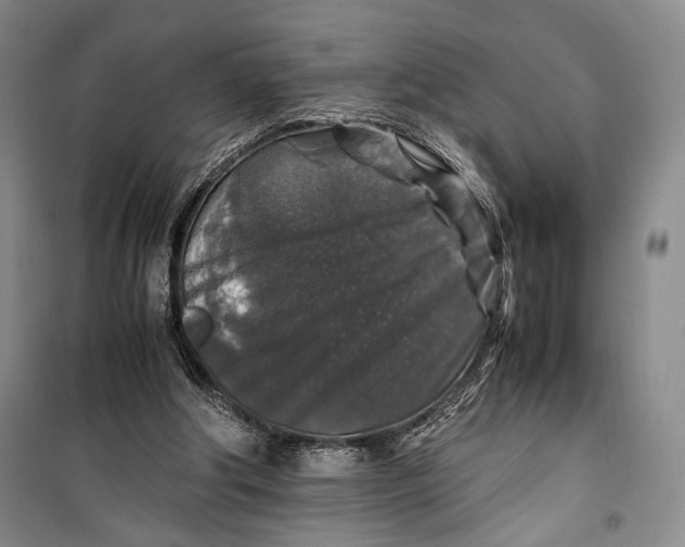 X0000099990202200806131442