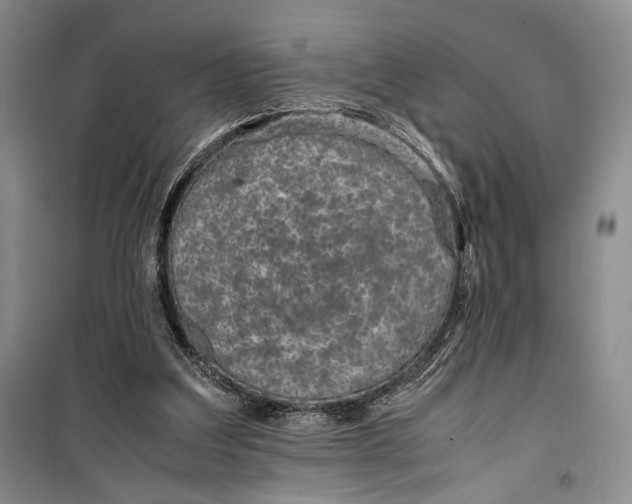 X0000099990203200806131442