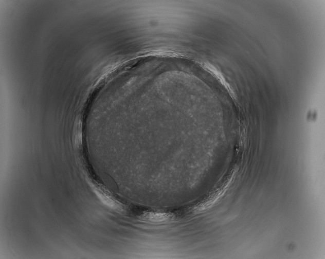 X0000099990205200806131442