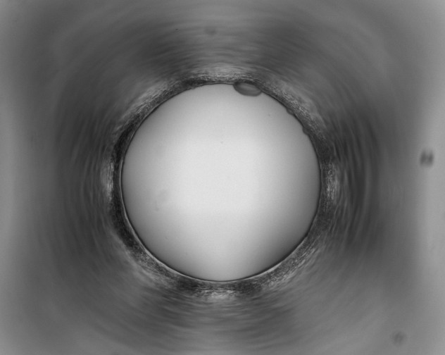 X0000099990206200806131442