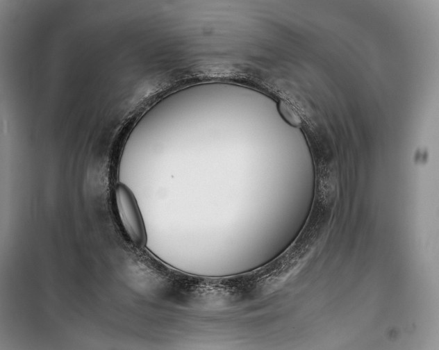 X0000099990207200806131442