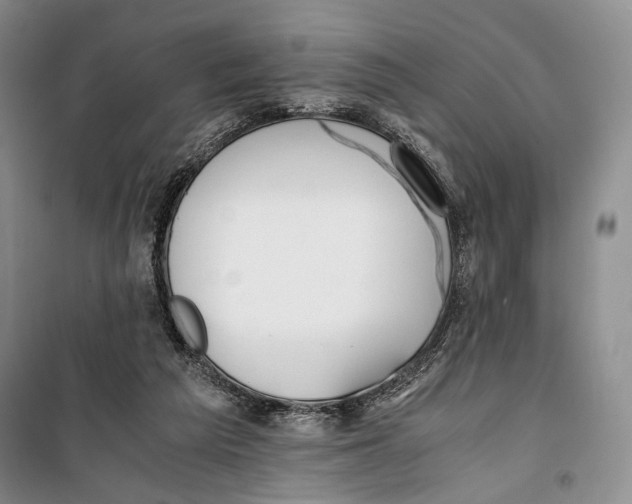 X0000099990209200806131442