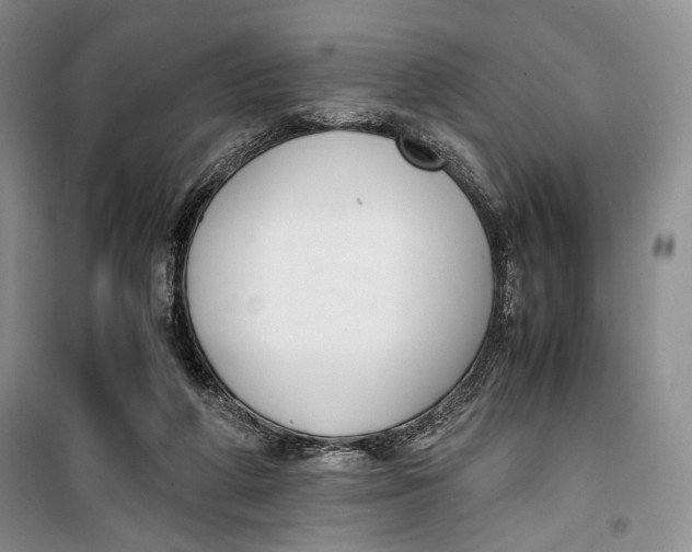 X0000099990210200806131442