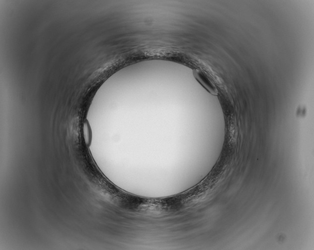 X0000099990211200806131442