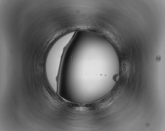 X0000099990212200806131442