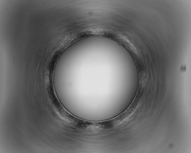 X0000099990213200806131442