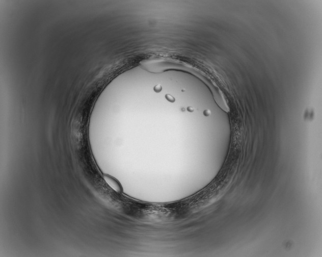 X0000099990215200806131442