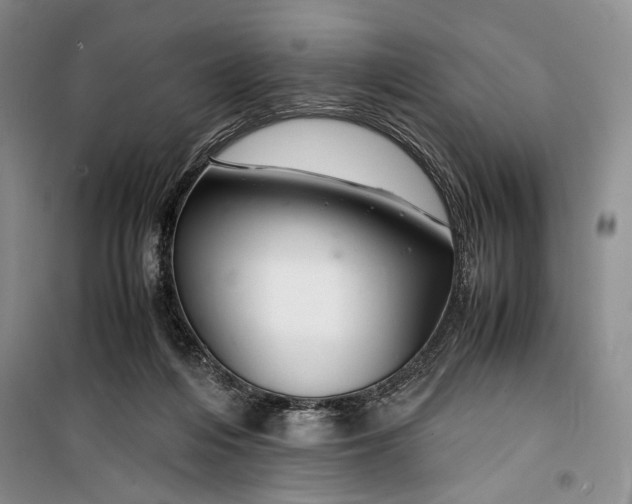 X0000099990216200806131442