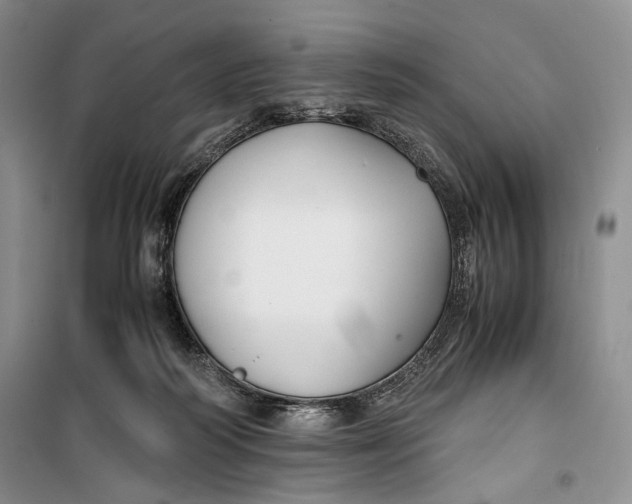 X0000099990218200806131442