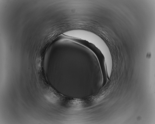 X0000099990219200806131442