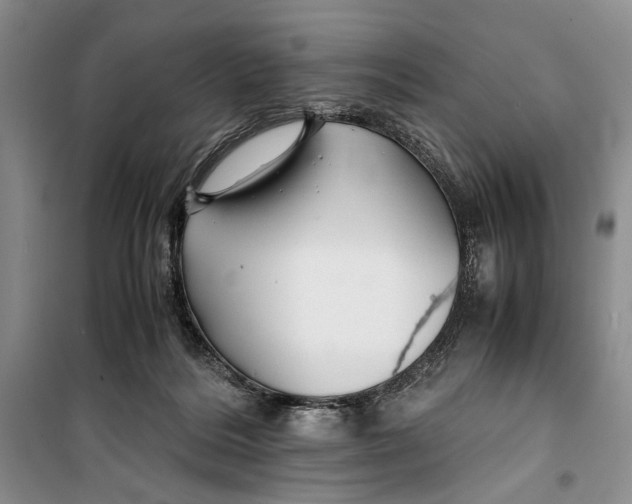 X0000099990220200806131442