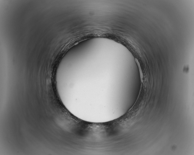 X0000099990221200806131442