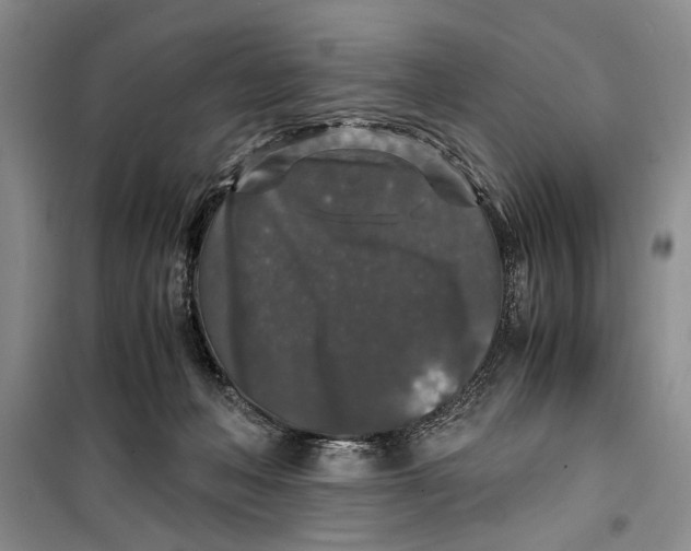 X0000099990222200806131442