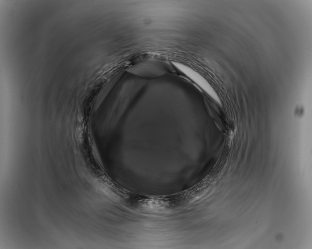 X0000099990223200806131442