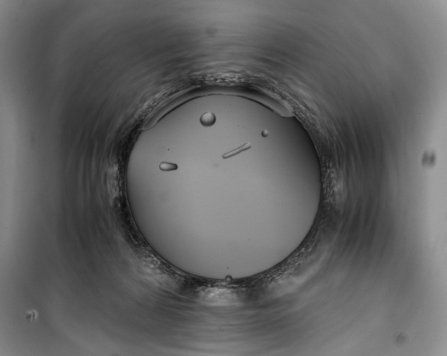 X0000099990224200806131442