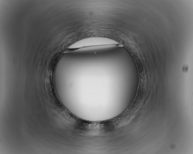 X0000099990225200806131442