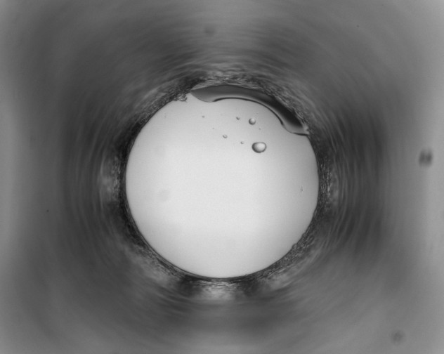 X0000099990226200806131442