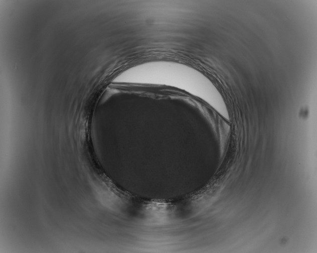 X0000099990227200806131442