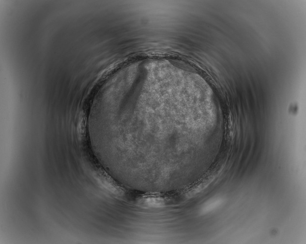 X0000099990228200806131442