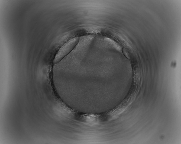 X0000099990229200806131442