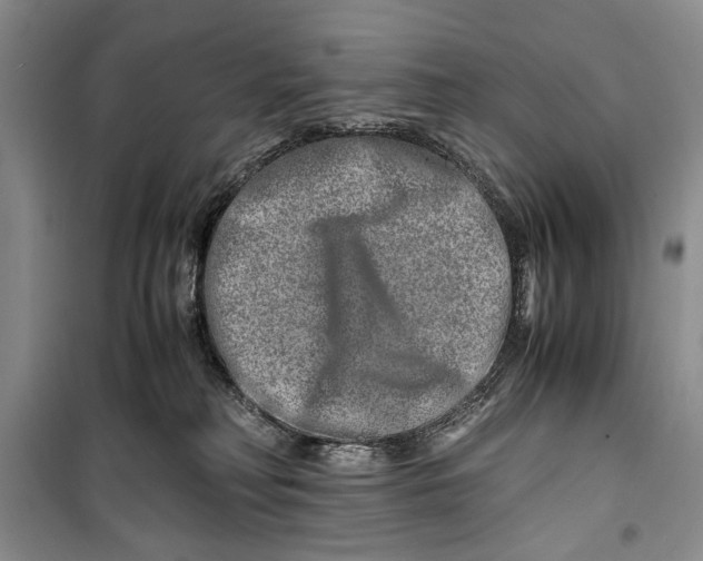 X0000099990230200806131442