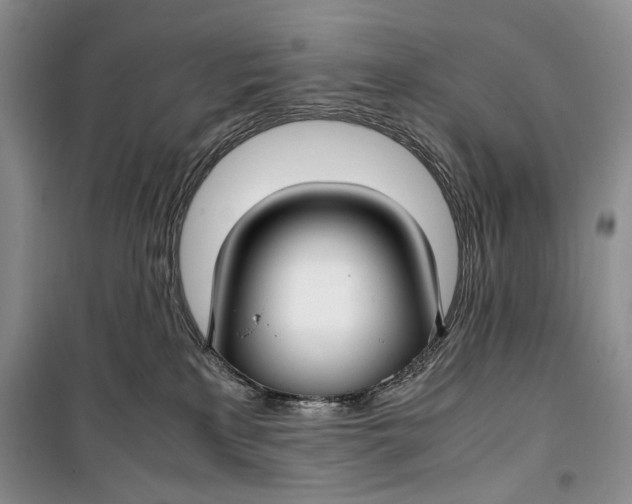 X0000099990233200806131442