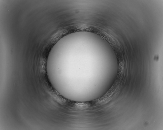 X0000099990234200806131442