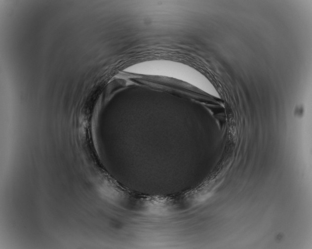 X0000099990235200806131442