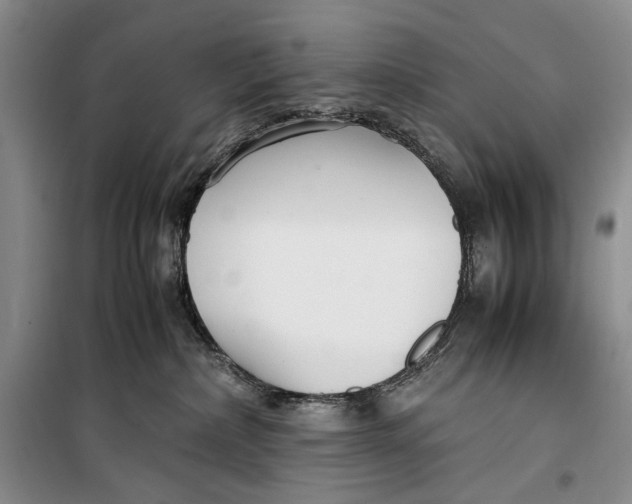 X0000099990236200806131442