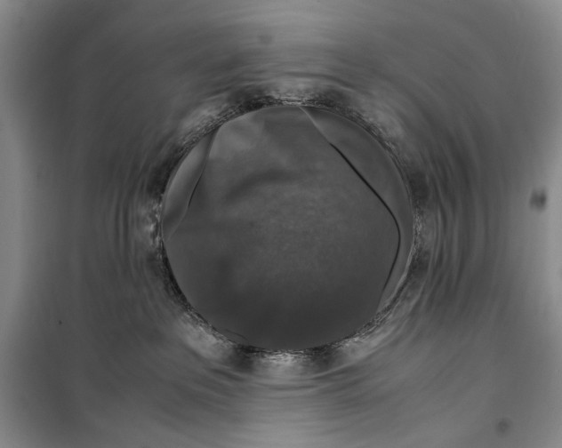 X0000099990237200806131442