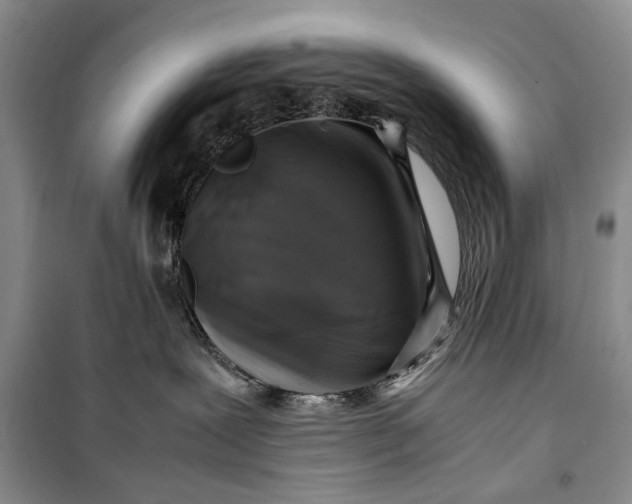 X0000099990239200806131442