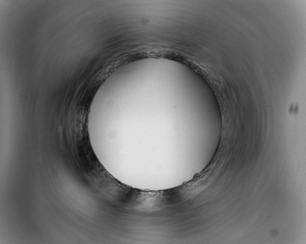 X0000099990240200806131442